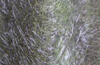 Marrel fibreglass roof work